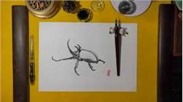 钢笔画：《独角仙》别名又叫双叉犀金龟，昆虫金龟子科，独角仙因雄性有发达的头角而得名。属于常见品种。是最具代表性的兜虫之一。