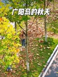 广阳岛的秋天是色彩斑斓的季节。#周末去哪玩 #广阳岛的秋天 #一起来拍秋天