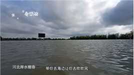 周末去看“海”辽河北岸水榭春城，辽河涨水了