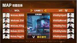 20240920 CDSI 淘汰赛W3D2 WOL vs VIT_5