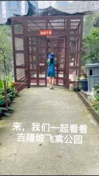 吉隆坡飞禽公园（KL Bird Park）号称是世界上最大野生生态鸟园，鸟园里可以看到许多平易近人类的鸟儿自由自在在园区行动。
