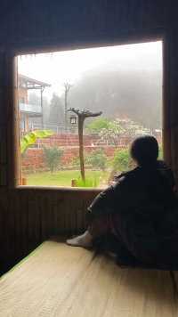 下雨，看着外发呆的一天！#山里罗罗 #治愈系慢生活