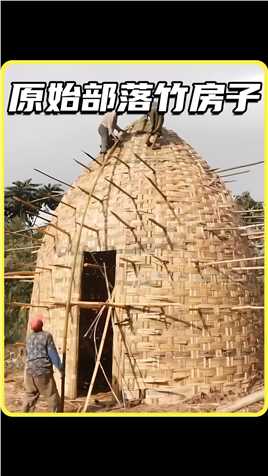 原始部落的竹房子，是当地娶老婆，必不可少的东西 #纪录片