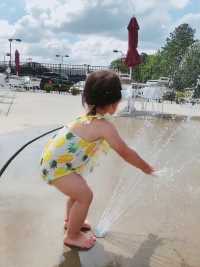 纪录生活中的美好