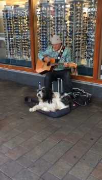 纽西兰皇后镇的街头音乐家＆他会唱歌的🐶狗狗⋯
#城市推荐官 #新西兰之旅#旅途中的故事#异域风情＃记录美好 #分享美好