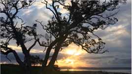 【日落伊甸山】                      新西兰奥克兰伊甸山(Mount Eden)位于市中心以南约5公里处，海拔196米，站在山顶可以将市区和附近的海面一览无遗。山顶设有了望台，视野开阔，是眺望市景的好地方。