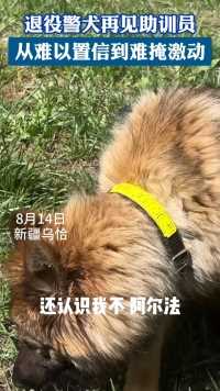 新疆乌恰:警犬助训员与退役警犬的再回首！