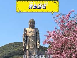 灵山胜境：集湖光山色、园林广场、佛教文化、历史知识于一体，是中国最为完整、也是集中展示释迦牟尼成就的佛教文化主题园区。