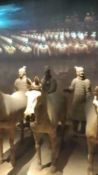 陕西历史博物馆里的兵马俑