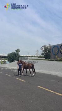 21匹比赛用马抵达奥体中心，共赴2024年郑州双世锦赛！