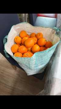 现在是吃橙子和草莓的季节，家里人都感冒正合适多喝橙汁补充维生素C，家里一个每个星期都用27公斤的橙子，每天7杯橙汁