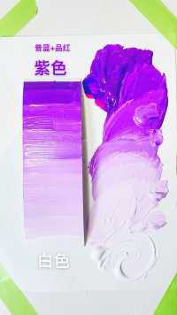 紫色vs白色（明度渐变）【陈默AdaCM】