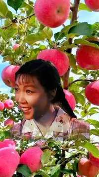 河南豫剧朝阳沟选段。它是一棵苹果树遮天盖地魏云老师原唱。弘扬戏曲文化。