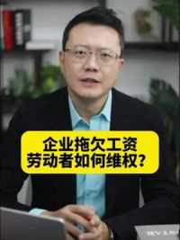 企业拖欠工资，劳动者如何维权？ #法律 #企业 #劳动者