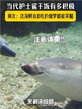 #上海海昌海洋公园
吸溜一下就没了
护士鲨干饭真积极！！
我都看呆了~