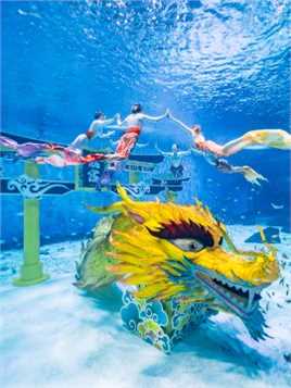 观人鱼潜入海底
览高超水下技艺
#上海海昌海洋公园 
《人鱼童话》全新上演