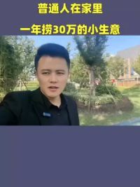 普通人在家里，一年捞30万的小生意