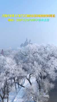 哈尔滨新年伊始再现雾凇美景