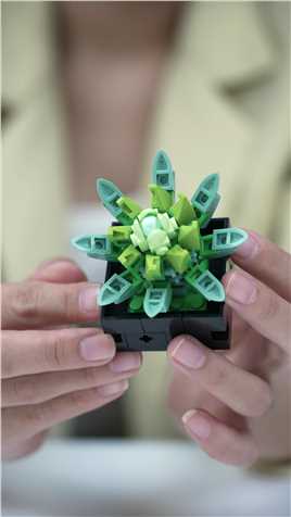 #小颗粒积木  #拼装模型  #益智玩具  可以培养耐心的益智玩具