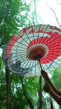 油纸伞下雨天为什么不能用！说话！#油纸伞#公孙离#手工定制#传统文化
