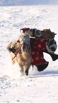 内蒙古草原上雪地里驯马，疯狂的蒙古人骑术高超，太帅了！创作者营地首席星探