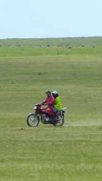 不知不觉锡林郭勒大草原，已经有了夏天的模样，由黄变绿的青草席卷着内蒙古大地。创作者营地首席星探