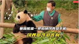 饲养员含泪告别，被暴躁熊猫一把拍掉手机，场面搞笑又心酸