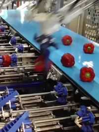 甜椒自动化加工流水线 #智能制造 #自动化生产线 #食品机械 #华象工业