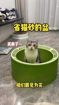 太喜欢这个盆了！颜值高不说它是真的能生砂呀！#萌宠好物#猫砂盆 #猫咪的迷惑行为