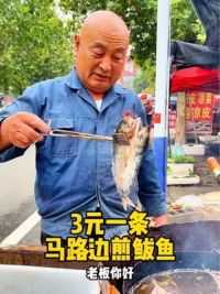 沂南马路边的煎鲅鱼，3元一条#寻味 #人间烟火 #为城市美食打call #市井生活 #老味道