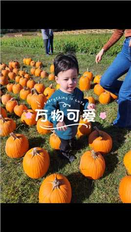Pumpkin patch🎃
親子時光，採摘樂趣Happy Fall!! 💕