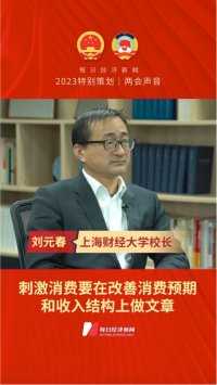 上海财经大学副校长刘元春：刺激消费要在改善消费预期和收入结构上做文章