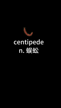 单词centipede怎么记？