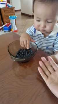 吃个蓝莓被妈妈套路的弟弟