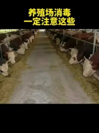 分享养殖技术，发展养殖事业。#胡一豪讲牛羊 #养牛 #养羊