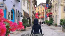 这个假期又怎能不来一趟惠州五矿哈斯塔特旅游小镇呢！#酒旅心动分享官 #惠州旅游攻略 #旅行在此时