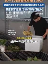 6月17日浙江湖州，00后小伙养蟋蟀年入800万，第一个月除去成本赚了30万。