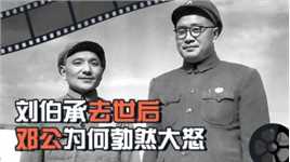 1986年刘伯承去世，邓公看到治丧委员会名单后大怒：怎么没有他？#历史 #近代史 #历史故事