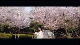 彭园的樱花季很美，那要看樱花树下有没有自己。