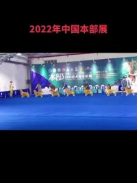 2022年CKU中国本部展金毛犬冠军组别的角逐！看看是不是你们喜欢的大金毛类型#特诗缇高能量天然粮 #冠军犬#犬展