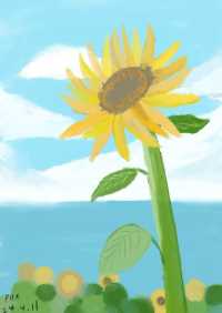 iPad简笔画，向日葵🌻