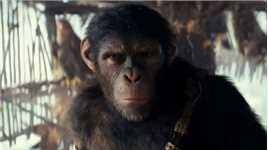《猩球崛起：新世界》电影彩蛋，猿族猩猩变聪明了吗？