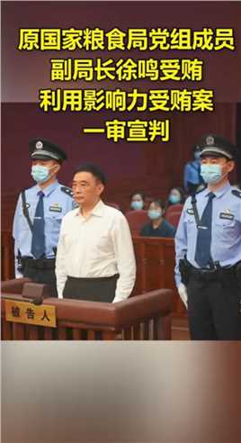 原国家粮食局党组成员、副局长徐鸣受贿利用影响力受贿案一审宣判