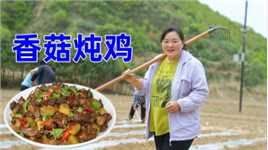 劳动节，霞姐带着家人去种地，饿了就炖土鸡吃，忙碌而充实的一天