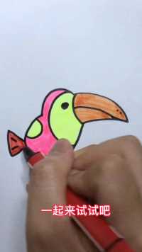 鹦鹉简笔画，儿童简笔画教程，可爱的小鹦鹉，一起来画画吧