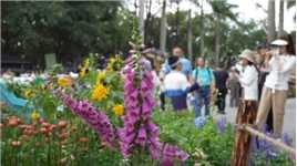 粤港澳大湾区花展第二天，笔架山展场迎来了人山人海的游客赏花。