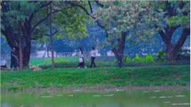 绿意盎然的洪湖公园早晨，吸引着无数市民前来晨练游玩。