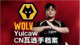 【CN瓦选手档案】WOL战队Yuicaw