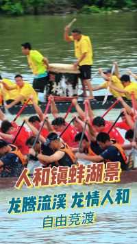 广州白云区人和镇龙舟文化活动，自由竞渡