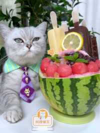 猫王：谁能抵挡这个西瓜刨冰雪糕桶的诱惑，抱着吃超满足～